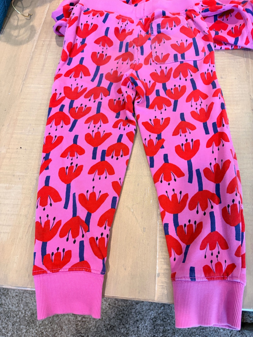 Hanna Andersson Pink Sweatsuit with Red Floral Print - Picture 5 of 6
